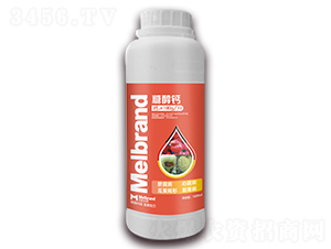 1000ml�Ǵ���-���괺