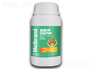 200ml�Ǵ���-���괺