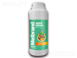 1000ml�Ǵ���-���괺