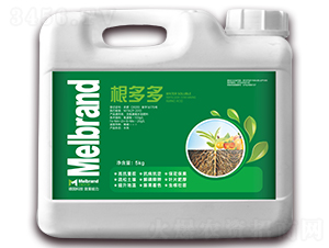 5kg�����-���괺