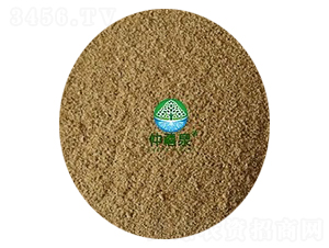 �ݲ�ѿ�߸˾���1000��-g����ȫ�ܣ�-����Ȫ