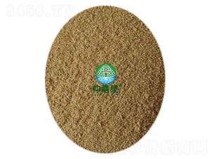 �ݲ�ѿ�߸˾���200��-g����ȫ�ܣ�-����Ȫ