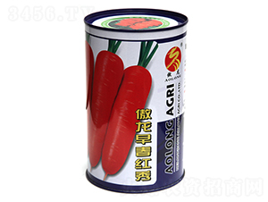 �����紺����-���ܲ�����-����