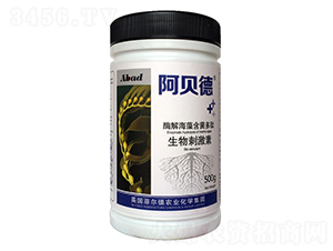 ø�⺣�庬����������̼���-������-����ũ��
