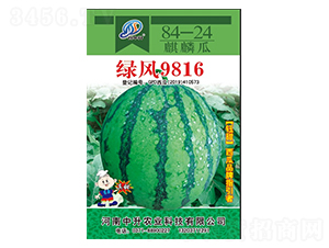 �̷�9816-��������-����ũҵ