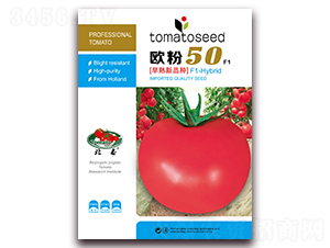 ŷ��50F1-�۹���������-����