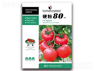 Ӳ��80F1-�۹���������-����