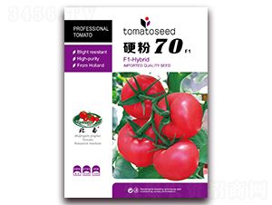 Ӳ��70F1-�۹���������-����