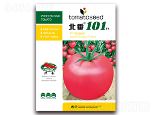 ����101F1-�۹���������-����
