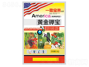 �ƽ�ر�-��������