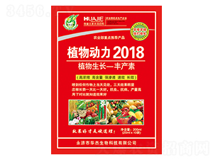 ֲ�ﶯ��2018-��������