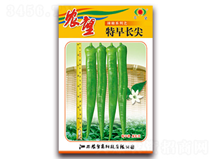 ���糤��-�⽷����-ũ��