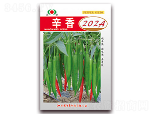 ����202A-��������-ũ��