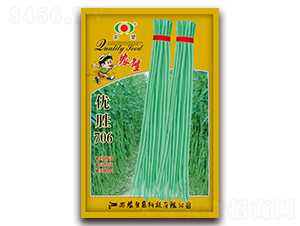 ��ʤ706-��������-ũ��