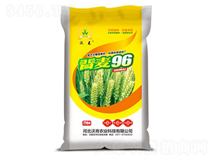 ����96-С������-����ũҵ