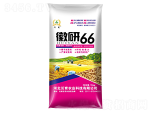 ����66-С������-����ũҵ