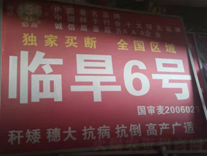 �ٺ�6��-С������-����ũҵ