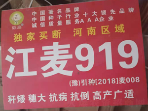 ����919-С������-����ũҵ