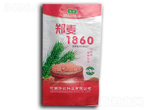 ֣��1860-С������-�׷�
