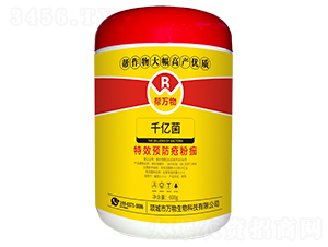 ǧ�ھ���΢������ʣ�-������