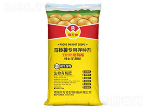 ������ר�ð��ּ���ϡ����-������