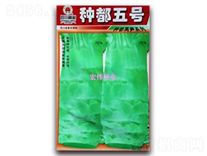�ֶ����-ݫ������-��ΰ��ҵ