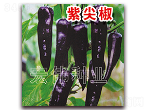 �ϼ⽷-��������-��ΰ��ҵ