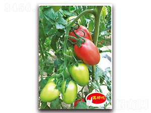 ������001F1-ӣ������������-��ΰ��ҵ