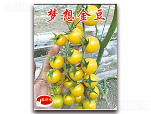 �����-ӣ������������-��ΰ��ҵ