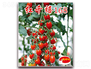 ��ǧ��168-ӣ������������-��ΰ��ҵ