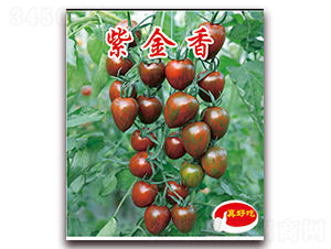 �Ͻ���-ӣ������������-��ΰ��ҵ