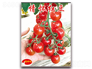 �黳�춹-ӣ������������-��ΰ��ҵ
