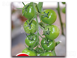 ��Բ��-ӣ������������-��ΰ��ҵ