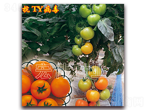 ���һ��-ӣ������������-��ΰ��ҵ