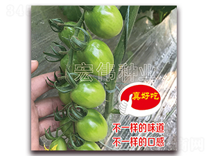 ��˼��-ӣ������������-��ΰ��ҵ