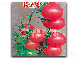 ��ʥ��-ӣ������������-��ΰ��ҵ