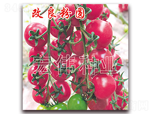 ������Բ-ӣ������������-��ΰ��ҵ