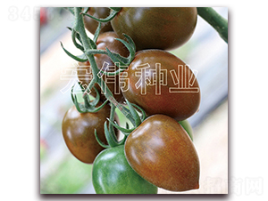 ������һ��-ӣ������������-��ΰ��ҵ