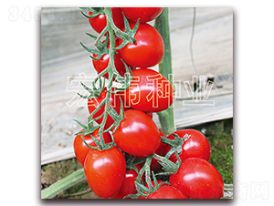 ����189-ӣ������������-��ΰ��ҵ