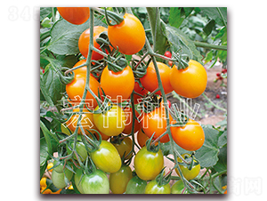 �Ʊ���-ӣ������������-��ΰ��ҵ