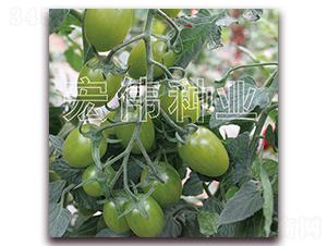 �̱�ʯ����-ӣ������������-��ΰ��ҵ