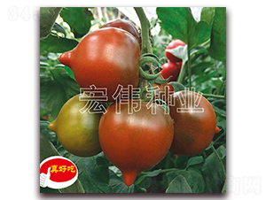 ���Ҷ���-ӣ������������-��ΰ��ҵ