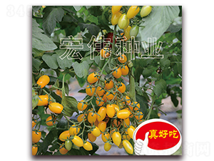 ����-ӣ������������-��ΰ��ҵ