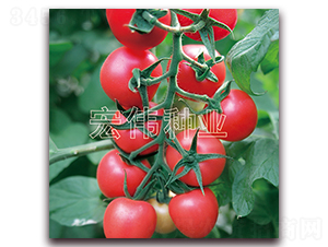 ����516-ӣ������������-��ΰ��ҵ