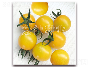 �����-ӣ������������-��ΰ��ҵ