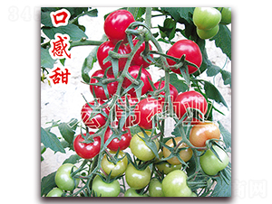 ����1268-ӣ������������-��ΰ��ҵ