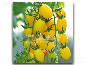 �ƽ��-ӣ������������-��ΰ��ҵ