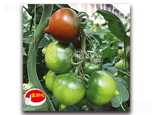 ����һ��-ӣ������������-��ΰ��ҵ