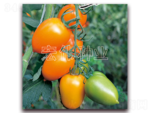 ��ţһ��-ӣ������������-��ΰ��ҵ