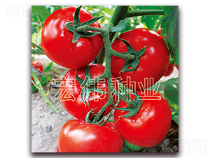 ȫ��218-�������������-��ΰ��ҵ